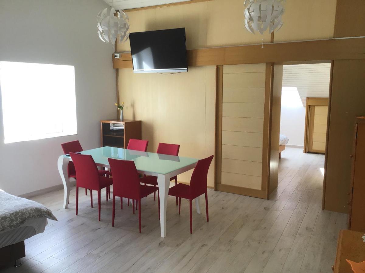 Apartments Tomato Novigrad  Zewnętrze zdjęcie