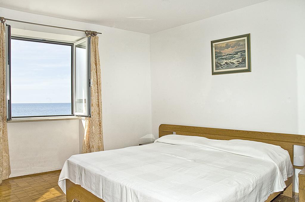 Apartments Tomato Novigrad  Zewnętrze zdjęcie